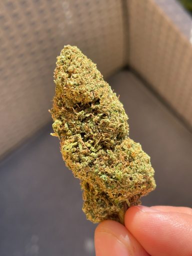 Gorilla Glue