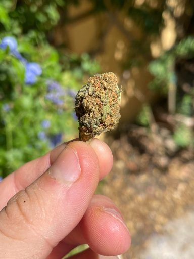Cannatonic Thcx 60%